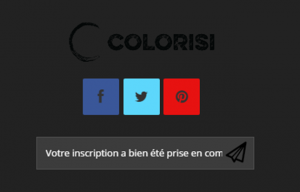 S'inscrire à la newsletter et aimer la page Facebook de Colorisi