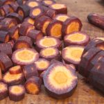 la carotte violette bio dans les produits de beauté bio Beauty Garden