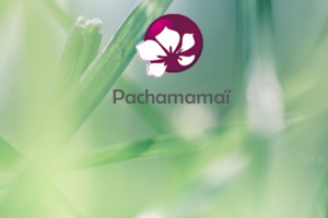 Pachamamaï propose des cosmétiques solides bio et végan