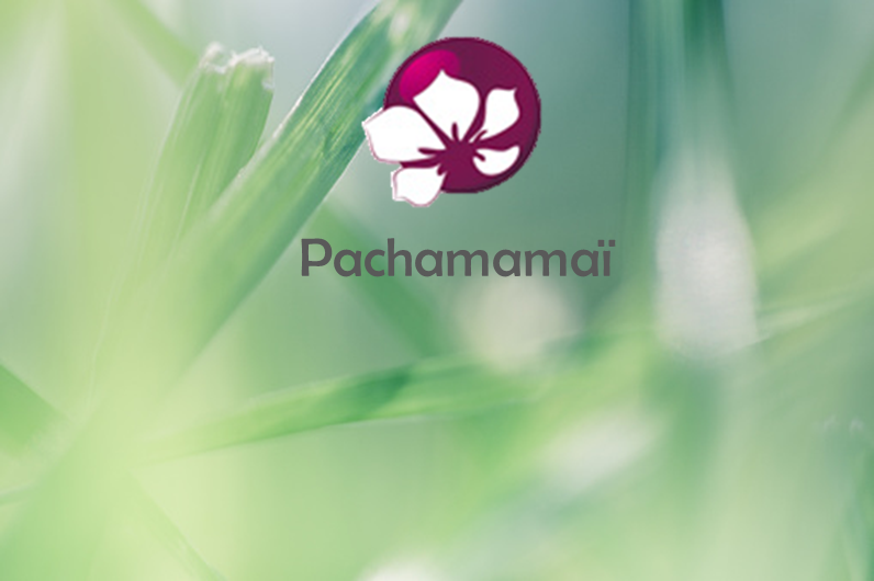 Pachamamaï, le royaume des cosmétiques solides