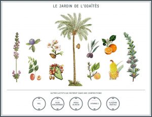 Les plantes utilisées par L'ODAITES - Jardin des sens